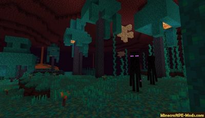 Download Minecraft PE 1.16.0.2 (MCPE) APK free Version