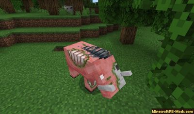 Download Minecraft PE 1.16.0.2 (MCPE) APK free Version