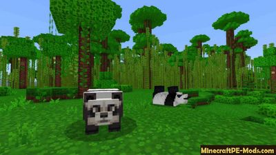 Quadral 16x Texture Pack For Minecraft PE 1.14, 1.13