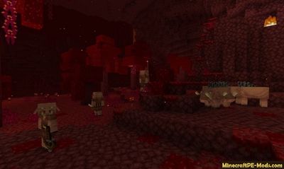 Download Minecraft PE 1.16.0.2 (MCPE) APK free Version