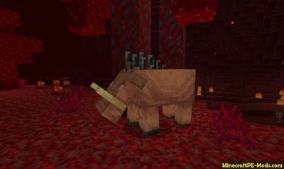 Download Minecraft PE 1.16.0.2 (MCPE) APK free Version