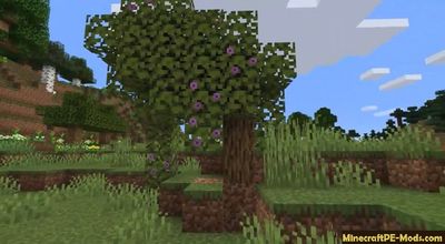 Download Minecraft PE Beta 1.17.0 (MCPE) APK free Version