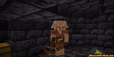 Download Minecraft 1.16 PC Java Edition free Version