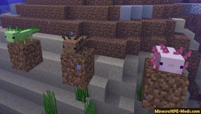 Download Minecraft PE Beta 1.17.0 (MCPE) APK free Version