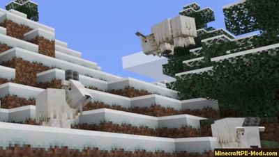 Download Minecraft PE Beta 1.17.0 (MCPE) APK free Version