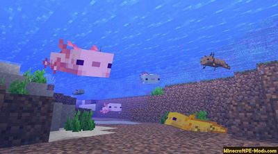 Download Minecraft PE v1.17.0.02 APK free Version